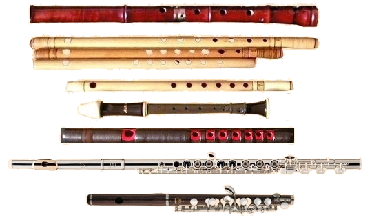 Aerophones Flutes