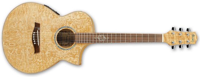 Acoustic Guitar
